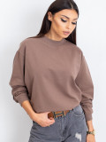 Brown Cotton Basic Sweatshirt