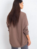 Brown Cotton Basic Sweatshirt