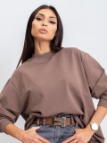 Brown Cotton Basic Sweatshirt