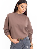 Brown Cotton Basic Sweatshirt