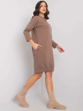 Brown Simple Dress with Long Sleeves