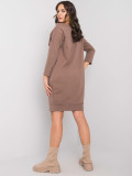 Brown Simple Dress with Long Sleeves