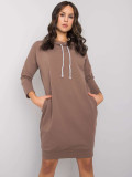 Brown Simple Dress with Long Sleeves