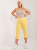 Yellow High-Waisted Pants for Women