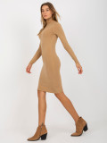 Brown Fitted Dress with Turtleneck
