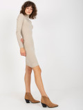 Light Beige Fitted Dress with Turtleneck