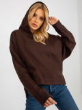 Brown Hooded Sweatshirt MAYFLIES