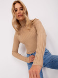 Brown Fitted Sweater with Turtleneck