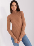 Brown Fitted Sweater with Turtleneck