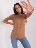 Brown Fitted Sweater with Turtleneck
