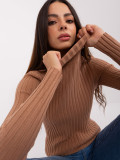 Brown Fitted Sweater with Turtleneck