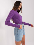 Dark Purple Fitted Sweater with Turtleneck
