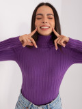 Dark Purple Fitted Sweater with Turtleneck