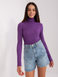 Dark Purple Fitted Sweater with Turtleneck
