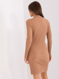 Brown Fitted Knit Dress
