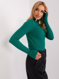 Green Fitted Knitted Sweater with Turtleneck