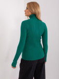 Green Fitted Knitted Sweater with Turtleneck
