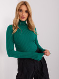 Green Fitted Knitted Sweater with Turtleneck