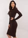 Elegant Brown Dress with Long Sleeves