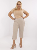 Beige High-Waisted Pants