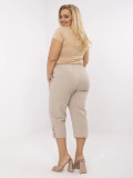 Beige High-Waisted Pants