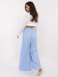 Stylish Blue Pants
