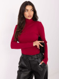 Burgundy ribbed turtleneck blouse