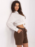 Stylish Brown Shorts