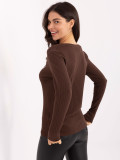 Brown cotton blouse with embroidery and V-neck