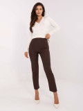 Elegant Brown Pants