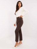 Elegant Brown Pants