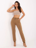 Stylish Jogging Pants in Camel Color