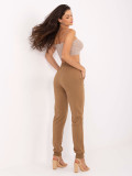 Stylish Jogging Pants in Camel Color
