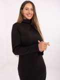 Black Ribbed Pencil Dress with Turtleneck