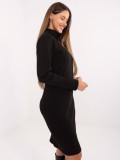 Black Ribbed Pencil Dress with Turtleneck