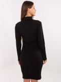 Black Ribbed Pencil Dress with Turtleneck