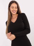 Black ribbed pencil dress with long sleeves and V-neckline