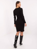 Black ribbed pencil dress with long sleeves and V-neckline