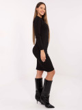 Black ribbed pencil dress with long sleeves