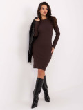 Brown Ribbed Pencil Dress with Long Sleeves