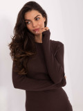 Brown Ribbed Pencil Dress with Long Sleeves