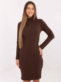 Brown Ribbed Pencil Dress with Turtleneck