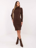 Brown Ribbed Pencil Dress with Turtleneck