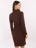 Brown Ribbed Pencil Dress with Turtleneck