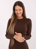 Brown ribbed pencil dress with long sleeves
