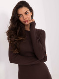 Brown Ribbed Pencil Dress with Long Sleeves