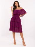 Purple Flared Dress with Ruffle
