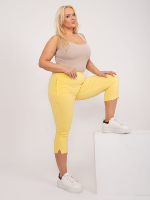 Yellow High-Waisted Pants for Women