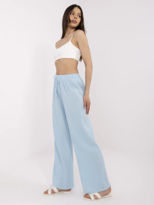 Stylish Blue Pants